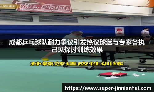成都乒乓球队耐力争议引发热议球迷与专家各执己见探讨训练效果